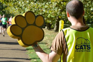A Cats Protection volunteer wearing a high-visibility vest holds a large paw-shaped foam sign while standing beside a path during an outdoor running event.
